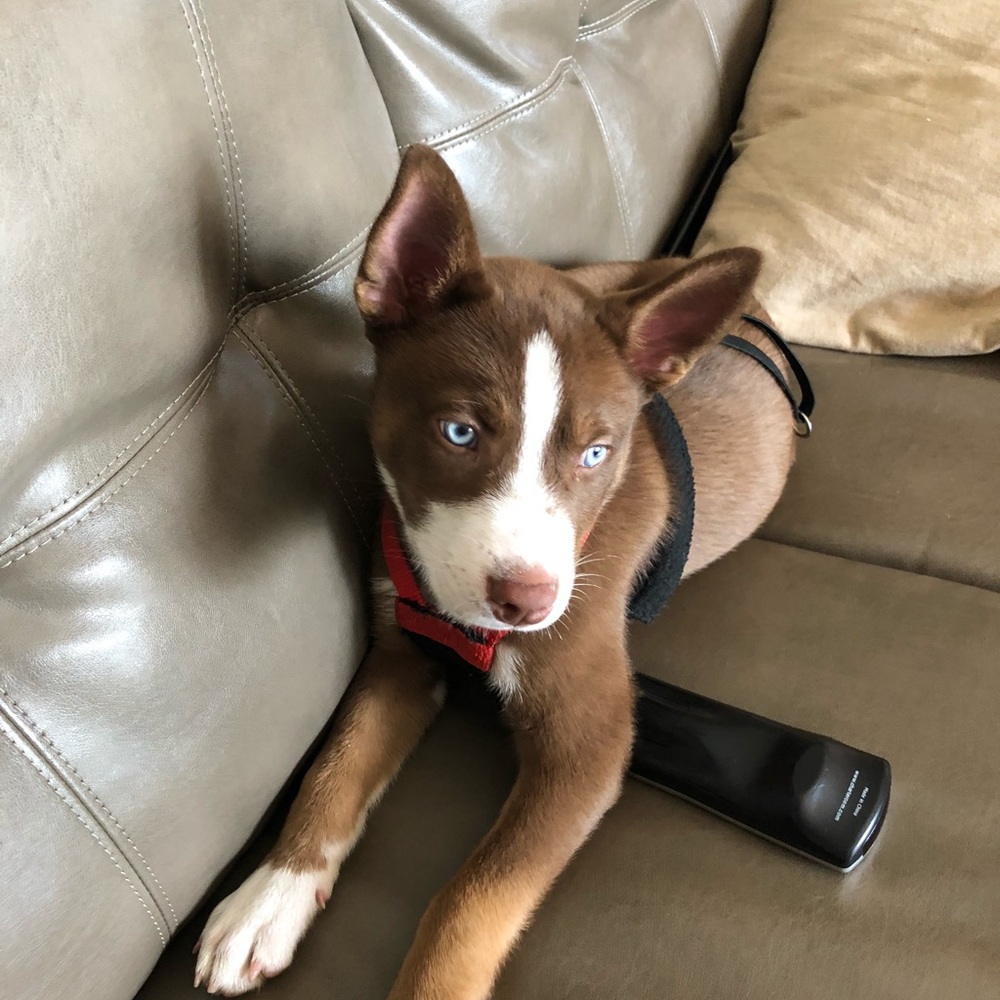 Meet your Posher, Heather